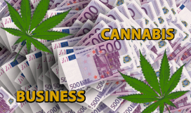 cannabis-business