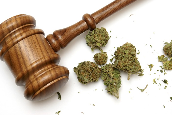 Cannabis – Rechtslage & Regularien